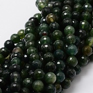 Faceted Round Natural Moss Agate Bead Strands, 8mm, Hole: 1mm, about 50pcs/strand, 15.3 inch(G-L437-24-8mm)