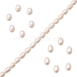 Natural Cultured Freshwater Pearl Beads Strands, Rice, Seashell Color, 7.5~9.5x5.5~6.5mm, Hole: 0.7mm, about 24~25pcs/strand, 7.56 inch~7.76 inch(19.2cm~19.7)(PEAR-SZ0001-07)