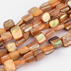 Natural Sea Shell Beads, Irregular, Sandy Brown, 8x5~15mm, Hole: 0.8~1.1mm, 53pcs/strand, 16 inch(S00C50N2)