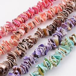 Natural Shell Bead Strands, Dyed, Nuggets, Mixed Color, 10~20x8~12x3~6mm, Hole: 1mm, about 15.7 inch(BSHE-P010-M)