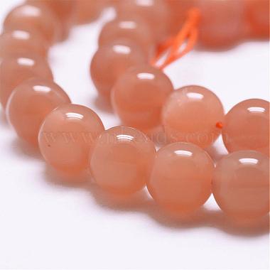 Natural Sunstone Beads Strands(G-J363-10-6mm)-3
