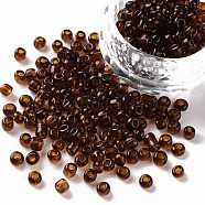 (Repacking Service Available) Glass Seed Beads, Transparent, Round, Brown, 6/0, 4mm, Hole: 1.5mm, about 12G/bag(SEED-C013-4mm-13)