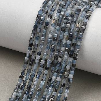 Natural Devil Blue Aquamarine Beads Strands, Faceted Table Cut Cube Beads, 2.5x2.5x2.5mm, Hole: 0.6mm, about 162~164pcs/strand, 15''(38.1cm)