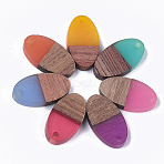 Resin & Walnut Wood Pendants, Oval, Mixed Color, 20x11x3.5mm, Hole: 1.8mm(RESI-S358-71)