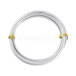 Textured Round Aluminum Wire, Bendable Metal Craft Wire, for Jewelry Wrapping Craft & Floral Wire, Silver, 12 Gauge, 2mm, 5m/roll(16.4 Feet/roll)(AW-R004-5m-01)