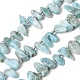 brins de perles de larimar naturels(G-P604-A28-01)-2