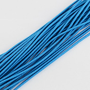 Elastic Cord, with Fibre Outside and Rubber Inside, Dodger Blue, 2.5mm, about 87.48 yards(80m)/bundle(EC-R004-2.5mm-08)