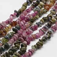 Natural Tourmaline Beads Strands, Chip, Colorful, 3~5x7~13x2~4mm, Hole: 0.4mm, 16 inch(G-F328-31)