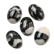 Natural Zebra Jasper Cabochons, Oval, 18x13x5~5.5mm(X-G-C115-01A-39)