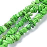 Natural Magnesite Beads Strands, Dyed, Chip, Spring Green, 6~10x6~10x3~4mm, Hole: 0.5~0.7mm, 15.55''~16.54''(39.5~42cm)(TURQ-P001-02A-08)
