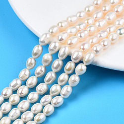 Natural Cultured Freshwater Pearl Beads Strands, Rice, Creamy White, 8~9x6~7mm, Hole: 0.7mm, about 36~38pcs/strand, 13.78 inch(35cm)(PEAR-N012-06G)