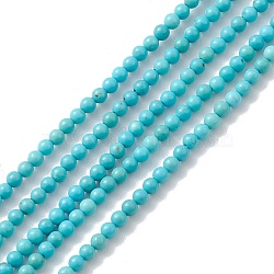 Natural Howlite Beads Strands, Dyed, Round, Turquoise, 2~3mm, Hole: 0.4~0.5mm, about 154~162pcs/strand, about 15 inch(TURQ-K005-01A)
