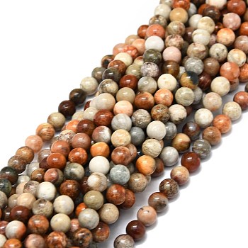 Natural Fossil Coral Beads Strands, Round, 6mm, Hole: 1mm, about 67pcs/strand, 15.35''(39cm)