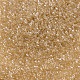 MIYUKI Delica Beads(X-SEED-J020-DB0101)-3