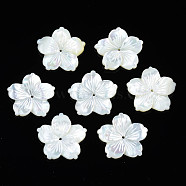 Natural White Shell Beads, Flower, 19~19.5x19.5~20x2~3mm, Hole: 1mm(SSHEL-N027-131D-01)