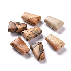 Natural Picture Jasper Beads, Trapezoid, 12x8x5mm, Hole: 1.2mm(G-M379-33)