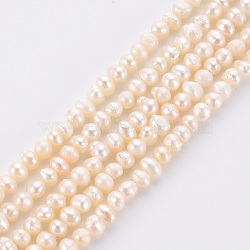 Natural Cultured Freshwater Pearl Beads Strands, Potato, Beige, 2.5~3mm, Hole: 0.5mm, about 168pcs/strand, 13.58 inch(PEAR-R065-26)