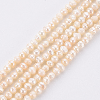 Natural Cultured Freshwater Pearl Beads Strands, Potato, Beige, 2.5~3mm, Hole: 0.5mm, about 168pcs/strand, 13.58 inch