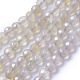 Electroplate Natural Grey Agate Beads Strands(G-F627-01-A01)-1