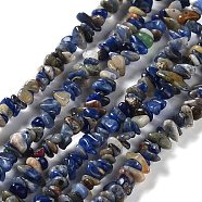Natural Sodalite Beads Strands, Chip, 4~12x3~5x1~4mm, Hole: 0.5mm, 16.06''(40.8cm)(G-E607-A11)