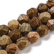 Natural Picture Jasper Beads Strands, Faceted, Polygon, 7.5~8.5x7.5~8x7.5~8mm, Hole: 1.4mm, about 44~49pcs/strand, 14.25~14.96 inch(36.2~38cm)(G-C085-A02-01)