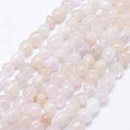 Natural Pink Morganite Beads Strands, Nuggets, 5~10x5~6mm, Hole: 1mm, 15.3 inch~15.7 inch(39~40cm)(G-K203-47)