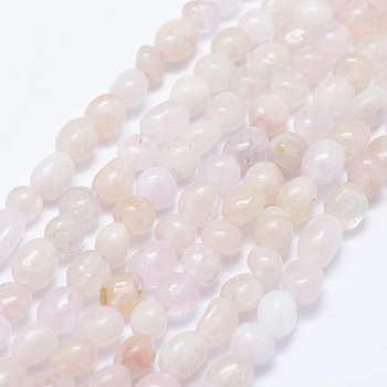 Natural Pink Morganite Beads Strands, Nuggets, 5~10x5~6mm, Hole: 1mm, 15.3 inch~15.7 inch(39~40cm)