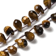 Natural Tiger Eye Beads Strands, Faceted, Top Drilled, Teardrop, 9~10.5x6~6.5mm, Hole: 0.7mm, about 45pcs/strand, 15.59~16.14''(39.6~41cm)(G-H297-B11-01)