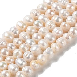 Natural Cultured Freshwater Pearl Beads Strands, Potato, Grade AB, PapayaWhip, 8~10.5x7.5~8.5mm, Hole: 0.7mm, about 45pcs/strand, 13.07''(33.2cm)(PEAR-E018-14)