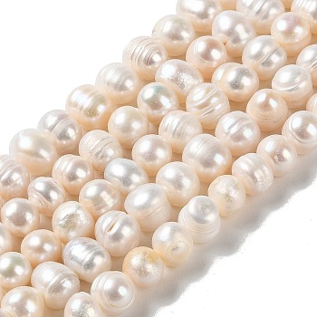 Natural Cultured Freshwater Pearl Beads Strands, Potato, Grade AB, PapayaWhip, 8~10.5x7.5~8.5mm, Hole: 0.7mm, about 45pcs/strand, 13.07''(33.2cm)