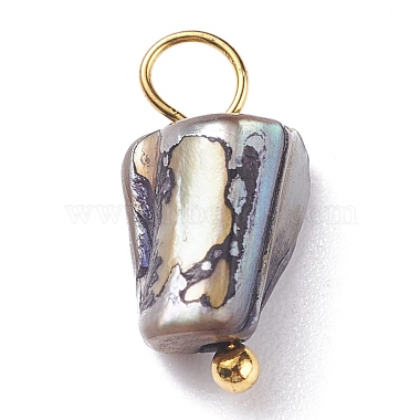 Natural Dyed Shell Charms(PALLOY-JF01339-04)-3