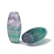 Natural Fluorite Beads(G-F711-02)-4