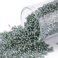 TOHO Round Seed Beads, Japanese Seed Beads, (371) Inside Color Black Diamond/White Lined, 15/0, 1.5mm, Hole: 0.7mm, about 3000pcs/bottle, 10g/bottle(SEED-JPTR15-0371)