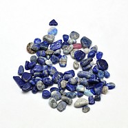 Lapis Lazuli Chip Beads, Tumbled Stone, No Hole/Undrilled, 5~8x3~4mm, about 86pcs/20g(X-G-O103-21)
