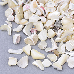 Sea Shell Beads, Undrilled/No Hole Beads, Chip, Seashell Color, 2~13x2~7x1~7mm(X-SSHEL-S258-70)