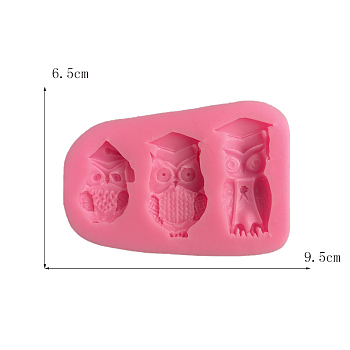Graduation Theme Display Decoration Silicone Molds, for UV Resin, Epoxy Resin Craft Making, Owl, Hot Pink, 65x95x10mm