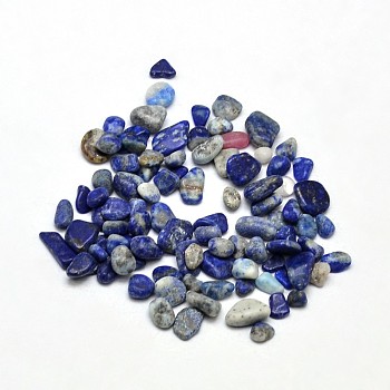 Lapis Lazuli Chip Beads, Tumbled Stone, No Hole/Undrilled, 5~8x3~4mm, about 86pcs/20g