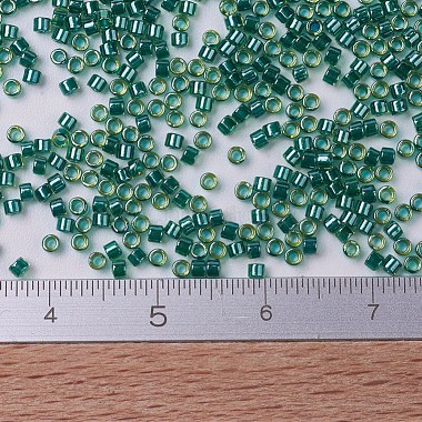 MIYUKI Delica Beads(X-SEED-J020-DB0919)-4