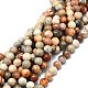 Natural Fossil Coral Beads Strands(G-E576-03B)-1