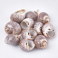 Electroplate Spiral Shell Pendants, with Iron Findings, Golden, Sienna, 27~34x20~27x14~19mm, Hole: 1.2mm(SSHEL-T009-20)
