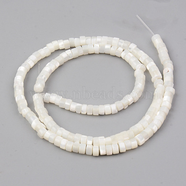 Natural Trochid Shell/Trochus Shell Beads Strands(SHEL-R049-024)-2