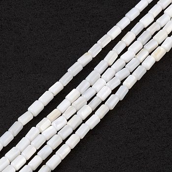 Natural Freshwater Shell Dyed Beads Strands, Column, Sea Green, 4.8x3mm, Hole: 0.8mm, about 78pcs/strand, 14.96''(38cm)