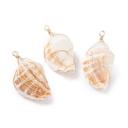 Natural Conch Shell Big Pendants, with Real 18K Gold Plated Eco-Friendly Copper Wire, Bisque, 51.5~54.5x26~27.5x20~21.5mm, Hole: 3.6mm(PALLOY-JF01204)