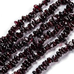 Natural Garnet Beads Strands, Grade AB+, Chip, 3~16x3~8mm, Hole: 0.7mm, 32.28''(82cm)(G-G011-07)