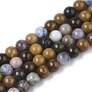 Natural Ocean Jasper Beads Strands, Round, 6mm, Hole: 1mm, about 66pcs/strand, 15.75 inch(40cm)(G-S150-56-6mm)