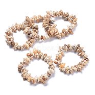 Unisex Natural Spiral Shell Stretch Bracelets, Beaded Bracelets, Conch, 2 inch(5.05cm), Beads: 11.5~14.5x6.5~9mm(BJEW-K220-01)