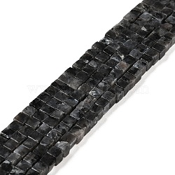 Natural Larvikite Beads Strands, Cube, 4~4.5x4~4.5x4~4.5mm, Hole: 0.8mm, about 90pcs/strand, 15.20~15.35 inch(38.6~39cm)(G-G002-A08)