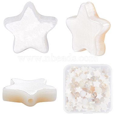 Creamy White Star Freshwater Shell Beads