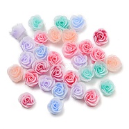 Luminous Opaque Epoxy Resin Decoden Cabochons, Glow in the Dark Rose Flower, Mixed Color, 4~4.5x4~4.5x3.5mm(CRES-M032-03A)