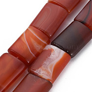 Brazil Red Agate Beads Strands, Dyed & Heated, Rectangle, 19.5~21x14~15x7mm, Hole: 1.4mm, about 19pcs/strand, 14.96 inch(38cm)(G-S359-351A)